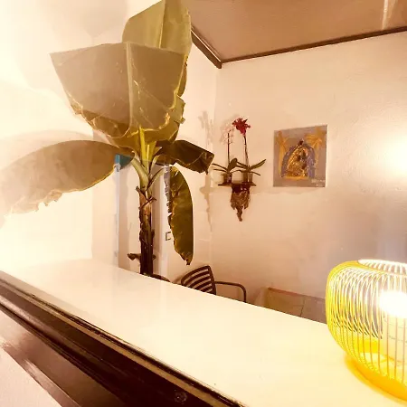 Casa Les Bambous نيم